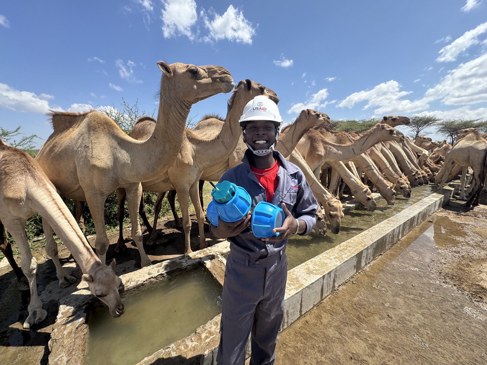 A field technician holds Lume sensor housings at a livestock water point in northern Kenya as camels drink from the trough